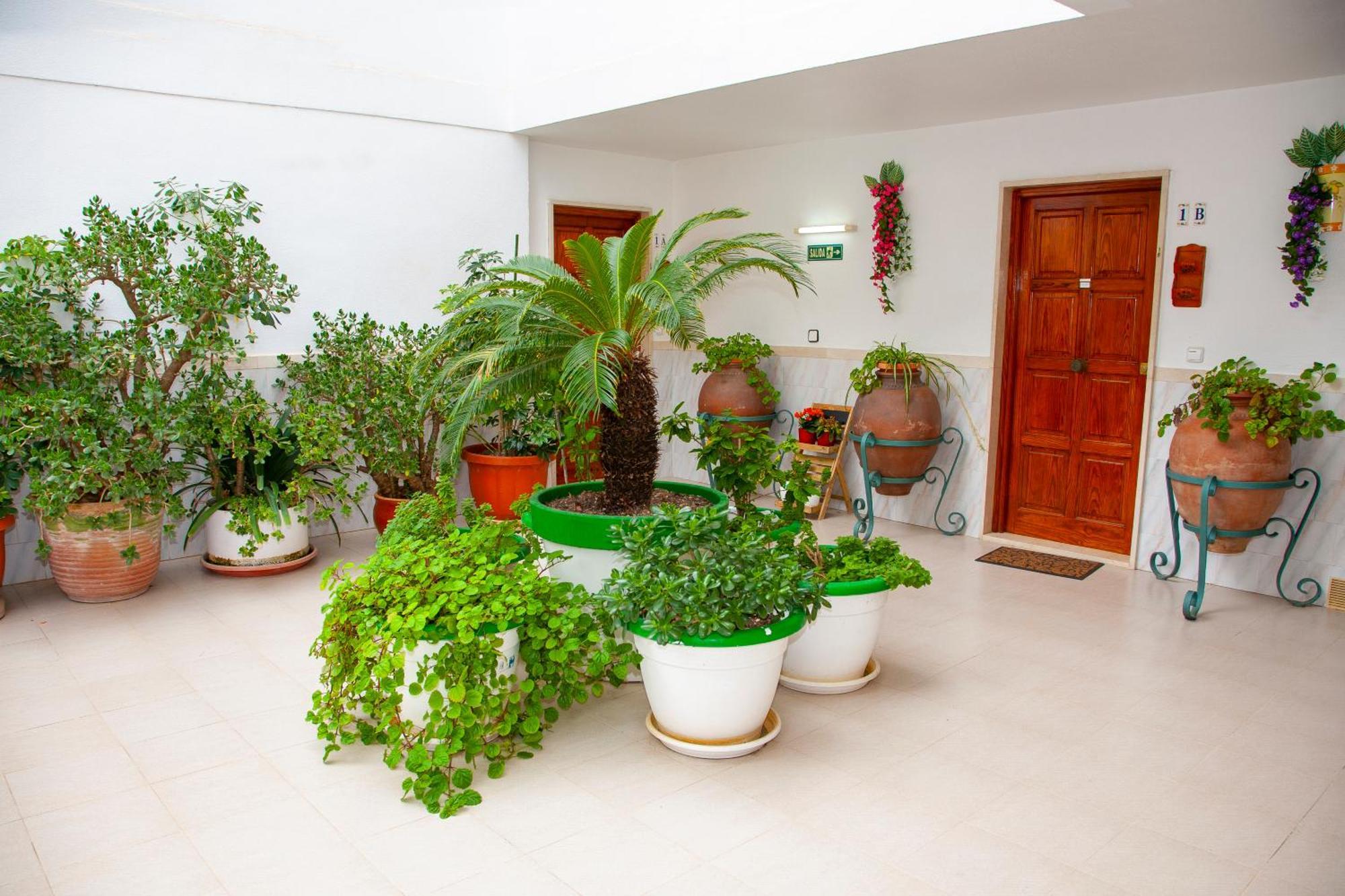 Atalaya Bosque Apartamentos Пагуэра Экстерьер фото